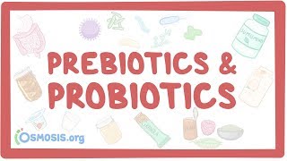 Probiotics  Food Microbiology [upl. by Adnuhs]