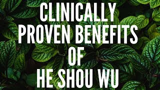 Top Clinically Proven Benefits of He Shou Wu [upl. by Chavaree739]