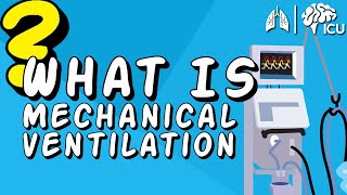 Basics of Mechanical Ventilation [upl. by Aynahs]