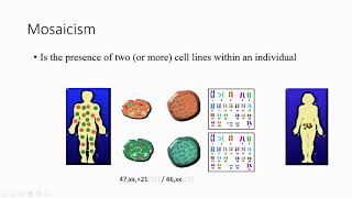 18 introduction to genetics Character Trait Somatic Germline Mosaicism Homologous Chromosomes [upl. by Naivat511]