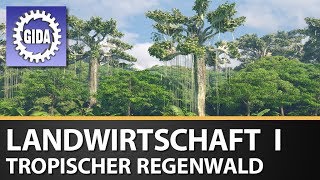 Trailer  Landwirtschaft I  Tropischer Regenwald  Geographie  Schulfilm [upl. by Lalise930]