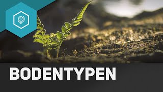 Was sind Bodentypen  Böden 5 [upl. by Fionna]