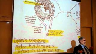 BIOLOGY CHROMOSOME ANOMALIES amp GENETIC DISEASES by Professor Finkwmv [upl. by Tocs33]