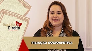 Explica Direito Filiação Socioafetiva  2019 [upl. by Cesaria]