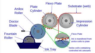 Flexography  Basic Introduction [upl. by Gati]