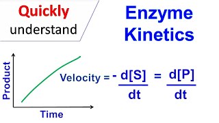 Enzyme kinetics [upl. by Katusha353]