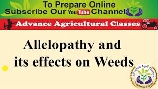 Alopathic Efect on Weeds [upl. by Aivekahs]