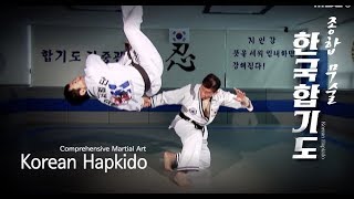 13 Korean Hapkido Comprehensive Martial [upl. by Ayama22]