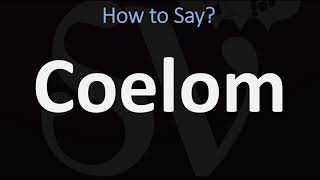 How to Pronounce Coelom CORRECTLY [upl. by Ativak]