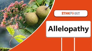 Allelopathy  Everything You Need To Know About it  2THEPOINT [upl. by Autumn]