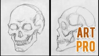 How to Draw a SKULL step by step 💀 METHOD [upl. by Elokyn898]