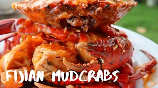 Great Fijian Food  Eating Fijian Mud Crabs  Sigatoka Fiji [upl. by Nonek]