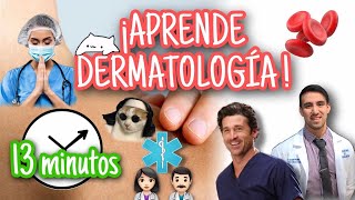 PIEL ¡Anatomía funcional en 13 minutos BASES DE LA DERMATOLOGÍA [upl. by Anwaf984]