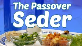 The Passover Seder What to Expect [upl. by Gonyea]