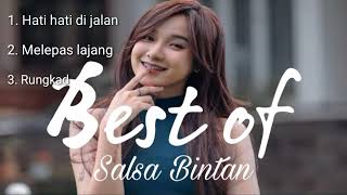 The Best of Salsa Bintan [upl. by Enaile253]