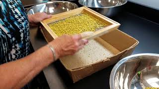 What is Seed Pelleting [upl. by Ohs]