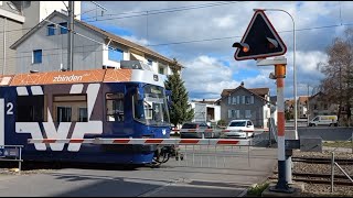 Bahnübergang Reinach AG CH  Swiss Railroad Crossing [upl. by Mervin]