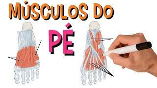 Músculos Do Pé  Sistema Muscular  Anatomia [upl. by Ellinger753]