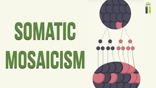 Mosaicisms  Part 2  Somatic Mosaicism [upl. by Grieve]