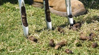 How to do a Spring Lawn Renovation  E3 – Alleviating Compaction  Aerating amp Core Aeration [upl. by Ambrosia]