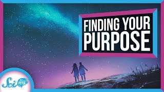 How and Why to Find Your Lifes Purpose [upl. by Yrrag]