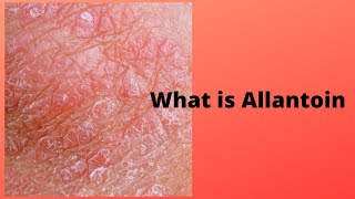 What is Allantoin [upl. by Catima]