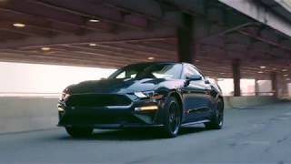 2019 Ford Mustang Bullitt video debut [upl. by Pellegrini]