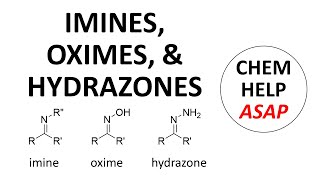 imines hydroxylamines amp hydrazones [upl. by Paton]