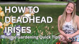 Deadheading Irises  Quick amp Easy Home Gardening [upl. by Oicul122]