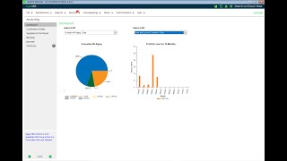 UBS Accounting amp Billing Software Preview [upl. by Pollux183]