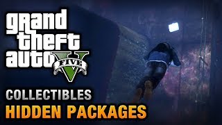 GTA 5  Hidden Packages  Briefcases Location Guide [upl. by Kirre531]