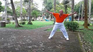 Taiji Qigong Shibashi  Set 5 [upl. by Jodie]