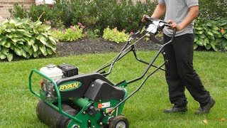 PennyGreen  How to properly Thatch  Aerate  Seed your lawn [upl. by Kucik]