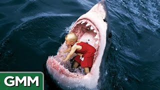 6 Strangest Things Swallowed by a Shark [upl. by Granville]