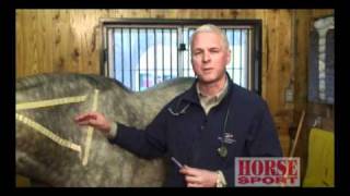 Equine Intramuscular Injections [upl. by Matthews107]