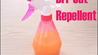 DIY CAT REPELLENT [upl. by Turmel84]