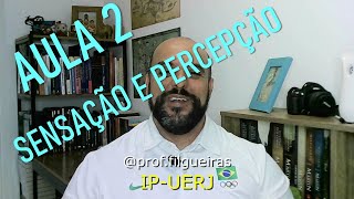 Sensação e Percepção Aula 2  Psicologia e Processos Básicos I UERJ [upl. by Leuqcar]