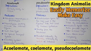 Acoelomate  Coelomate  Pdeudocoelomate  Kingdom Animalia  Class 11 [upl. by Candyce]