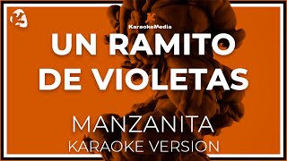 Manzanita  Un Ramito De Violetas LETRA INSTRUMENTAL KARAOKE ISRC ES54I0324312 [upl. by Aeila]