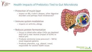 Prebiotics  The Ultimate Fibre [upl. by Brenna623]