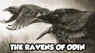 Odins Mythical Ravens  Huginn and Muninn Norse Mythology Explained [upl. by Emerej]