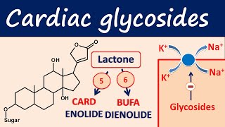 Cardiac glycosides in easy way  Digoxin digitoxin [upl. by Body547]