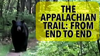 Evan’s Appalachian Trail ThruHike Full Documentary [upl. by Ecikram186]