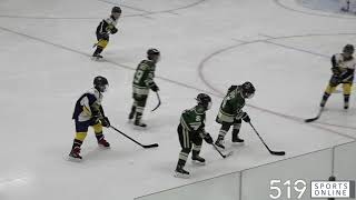 Hespeler Minor Hockey Atom  Flamborough Sabres vs Hespeler Shamrocks [upl. by Brunn]