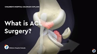 Ligament Basics  Science Explained [upl. by Dody]