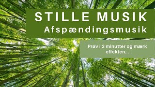 Afspændingsmusik  Meditationsmusik  Stille Musik [upl. by Eilah739]