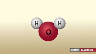 il legame a idrogeno [upl. by Neelhtac]