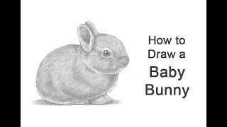 How to Draw a Rabbit Baby [upl. by Notnek]