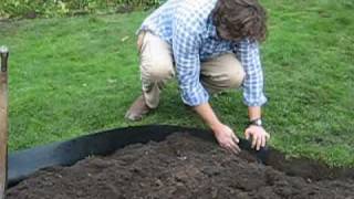 How to install recycled plastic lawn edging roll around flower bed Enjoy neat border and lawn edge [upl. by Hannavahs]