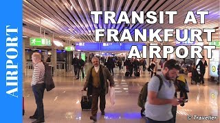 TRANSIT WALK AT FRANKFURT Airport FRA Terminal 1  Connection Flight Transfer Arriving amp Departing [upl. by Jade]